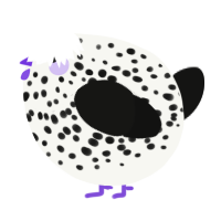A white and black chicken with a speckle pattern