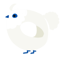 A white chicken with a head pattern