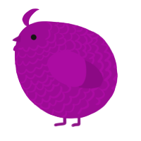 A plum chicken with a lace pattern