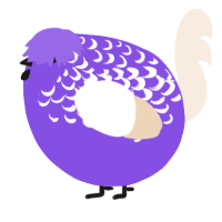 A blurple and cream chicken with a half-lace pattern