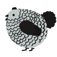 A silver and sable chicken with a lace pattern