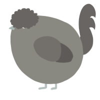 A ash and grey chicken
