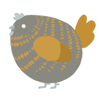 A ash and gold chicken with a bar pattern