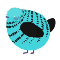 A aqua and black chicken with a bar pattern