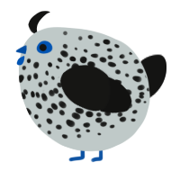 A silver and black chicken with a speckle pattern
