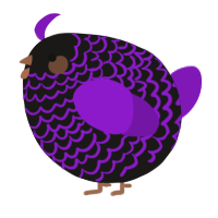 A sable and violet chicken with a lace pattern