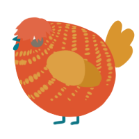 A vermilion and orange chicken with a bar pattern