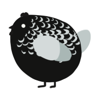 A black and silver chicken with a half-lace pattern