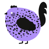 A lilac and black chicken with a speckle pattern