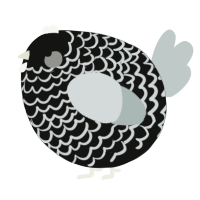 A black and silver chicken with a lace pattern