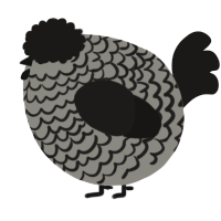 A ash and sable chicken with a lace pattern