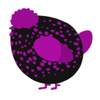 A black and plum chicken with a speckle pattern