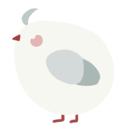 A white and silver chicken