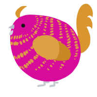 A fuchsia and orange chicken with a bar pattern