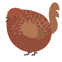 A russet and brown chicken with a half-lace pattern