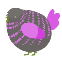 A grey and orchid chicken with a bar pattern