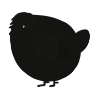 A black chicken with a half-lace pattern