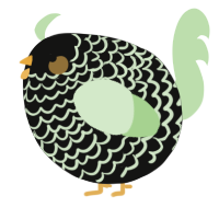 A black and gluppy chicken with a lace pattern
