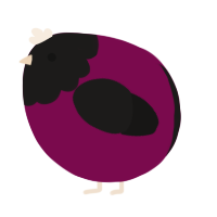A wine and sable chicken with a head pattern