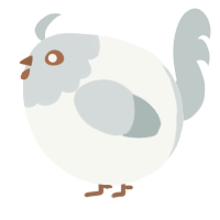 A white and silver chicken with a head pattern
