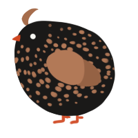 A sable and brown chicken with a speckle pattern