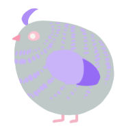 A silver and lilac chicken with a bar pattern
