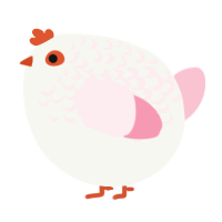 A white and rose chicken with a half-lace pattern
