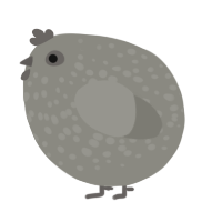 A ash chicken with a speckle pattern