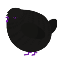 A sable and black chicken with a bar pattern