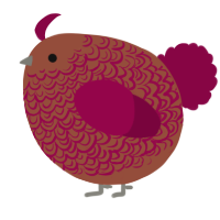 A russet and maroon chicken with a double-lace pattern