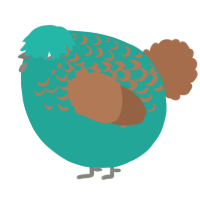 A turquoise and brown chicken with a half-lace pattern