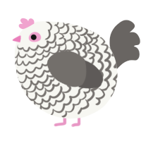 A white and grey chicken with a lace pattern