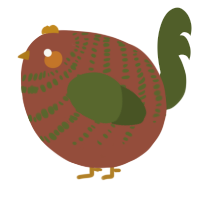 A russet and olive chicken with a bar pattern