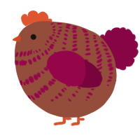 A russet and maroon chicken with a bar pattern
