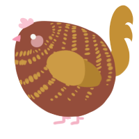 A russet and gold chicken with a bar pattern