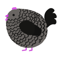 A grey and black chicken with a lace pattern
