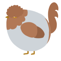 A mist and brown chicken with a head pattern