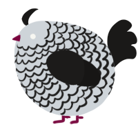 A mist and sable chicken with a lace pattern