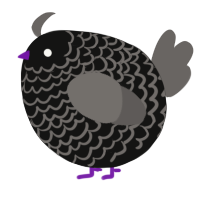 A black and grey chicken with a lace pattern