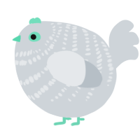 A mist chicken with a bar pattern