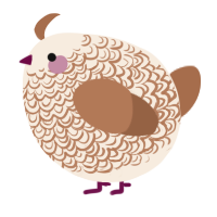 A cream and brown chicken with a double-lace pattern
