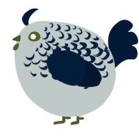 A silver and tumblr chicken with a half-lace pattern