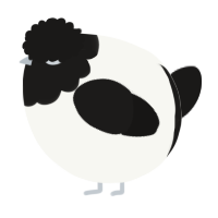A white and sable chicken with a head pattern