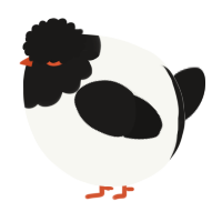 A white and sable chicken with a head pattern