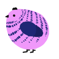 A lavender and navy chicken with a bar pattern