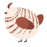 A cream and russet chicken with a bar pattern