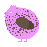 A lavender and bark chicken with a speckle pattern