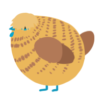 A honey and brown chicken with a bar pattern