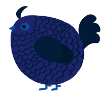 A navy and tumblr chicken with a lace pattern