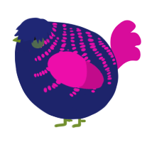 A navy and fuchsia chicken with a half-bar pattern